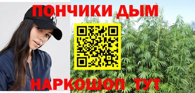 сатива Кимры
