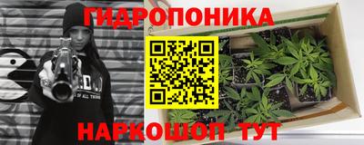 сатива Кимры