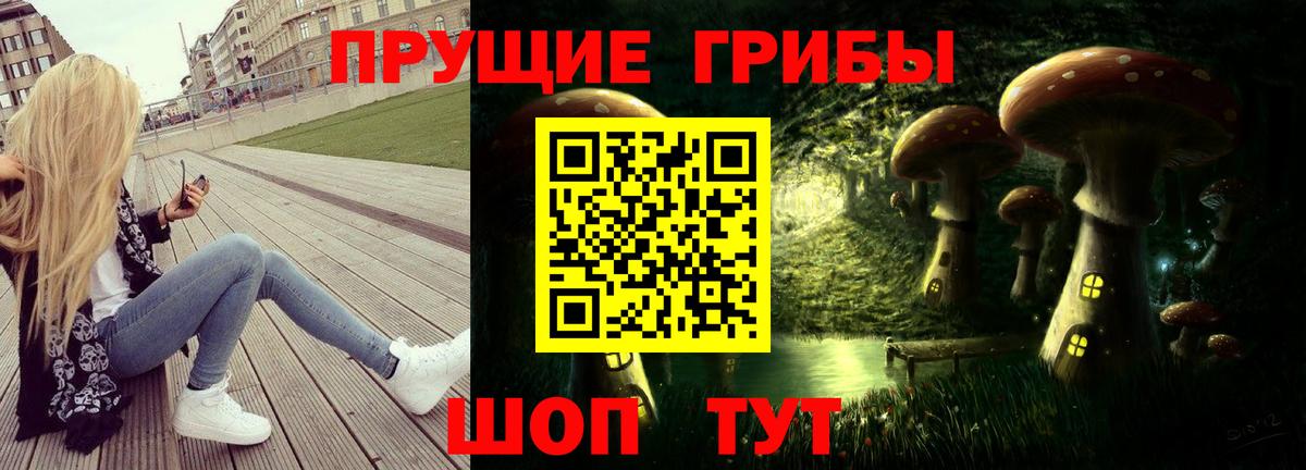 Галлюциногенные грибы MAGIC MUSHROOMS  Вход с VPN  Красный Сулин 